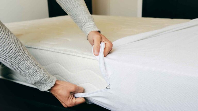 Does Mattress Protectors Work For Bed Bugs?